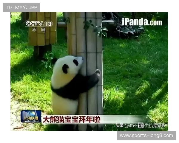 熊猫体育在国际体育赛事中的精彩表现赢得广泛关注，彰显中国体育新实力